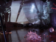 PIG 3: Choreographing Zoom in Covid