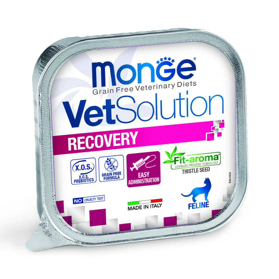 MONGE VS FELINE RECOVERY ADULTO 100 GR