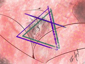 La Vida Color De Rosa