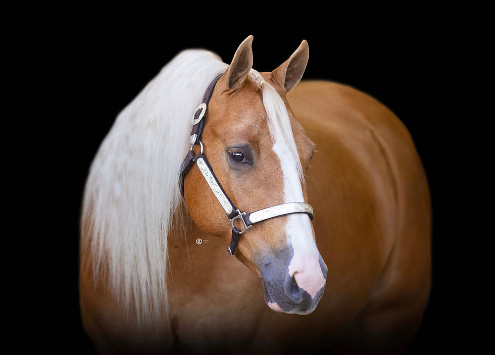 Walla Mare Headshot.JPEG