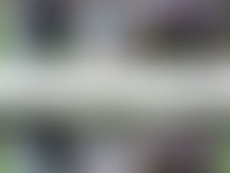 DO YOU WANT TO JOIN THE COUNCIL?