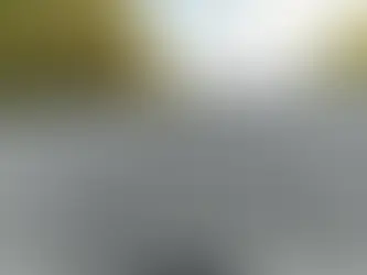 Asphalt Roof Repair Demystified: A Step-by-Step Guide