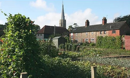 Wickham Market Allotments.JPG