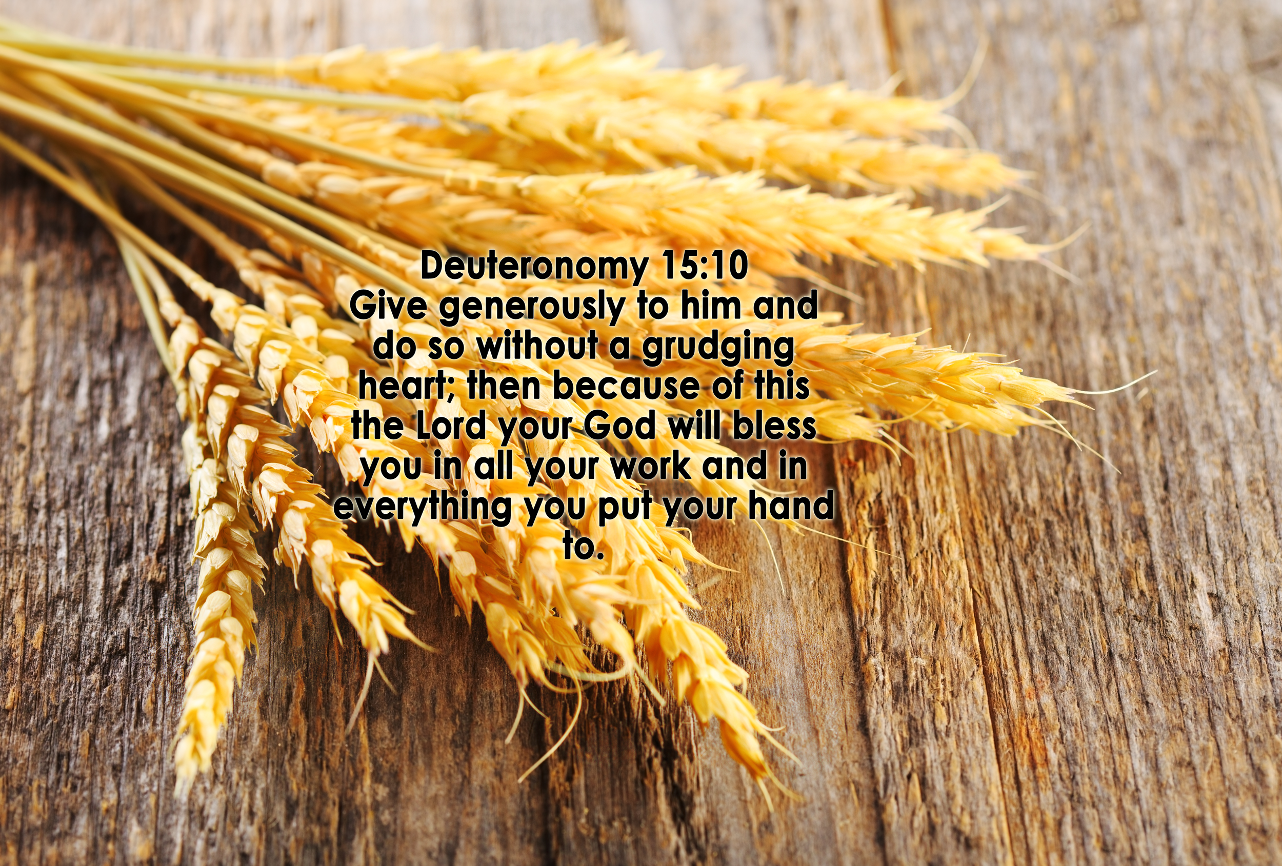 elohim christian outreach center