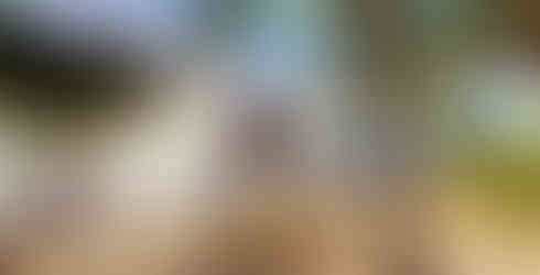 Paradis Beachcomber Golf Resort & Spa