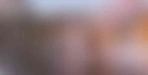 Mauricia Beachcomber