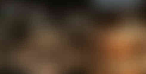 Mauricia Beachcomber - sunset