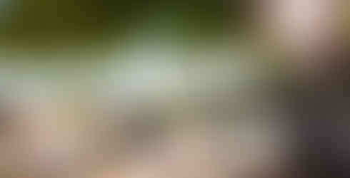 Veranda Pointe Aux Biches Mauritius