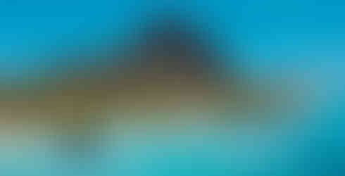 Paradis Beachcomber Golf Resort & Spa