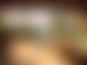 The Most Popular Beach Resorts in the Mozambique Islands