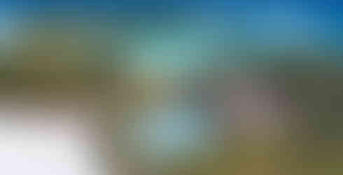 Shandrani Beachcomber Resort & Spa