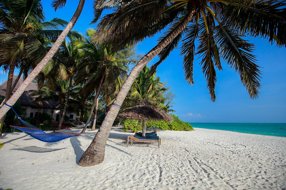 Zanzibar Beach