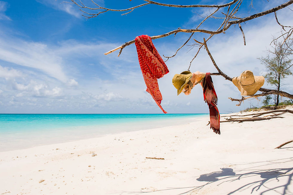vamizi-island-beach-quarimbas-archipelago-mozambique