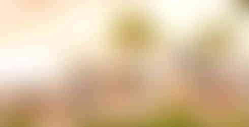 Victoria Beachcomber Resort & Spa - beach volleyball