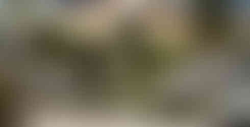 Gold Zanzibar Beach House & Spa