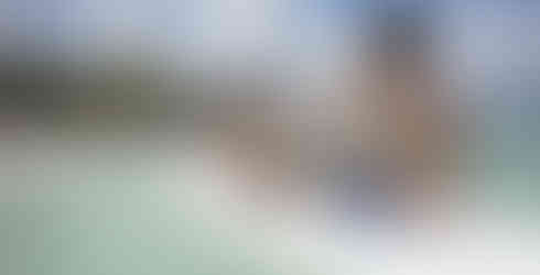 Royal Palm Beachcomber Luxury: 