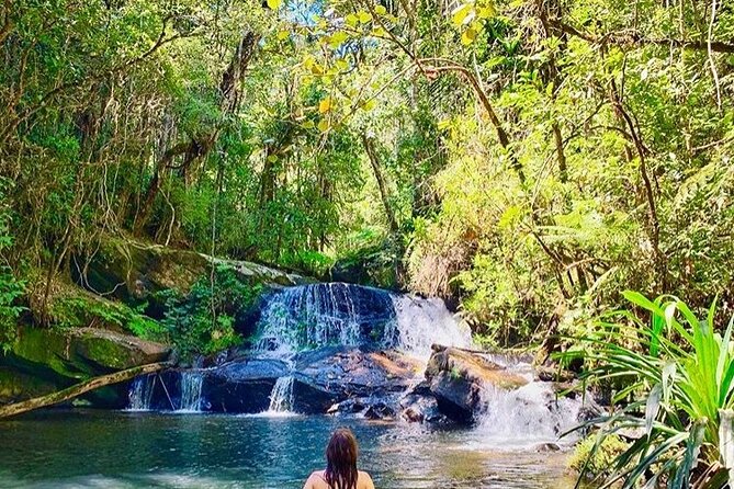 Lemurs in Andasibe-Mantadia National Park 