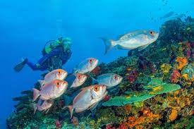 Azura Quilalea Private Island – Quirimbas Archipelago