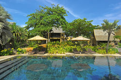 Junior Tropical Suite 1