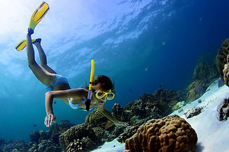 Mauritius Snorkeling 4.jpg