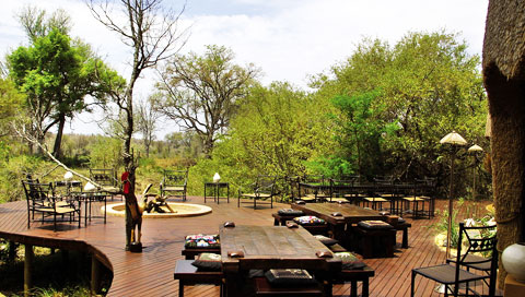 Hoyo Hoyo Safari Lodge 