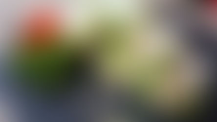 わさびタルタルの生春巻き