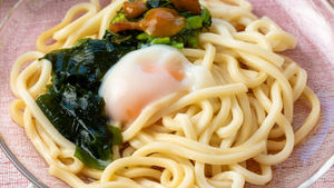 ネバトロ冷やしうどん
