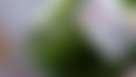 野沢菜こんぶ入りサバサンド