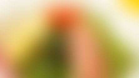 ネバネバ冷やし中華