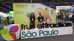 Kolecti na Fruit Attraction São Paulo: inovação e conexões para o futuro da fruticultura