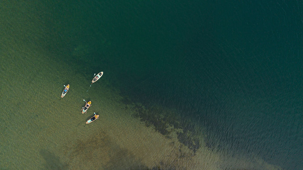 DJI_0142.jpg