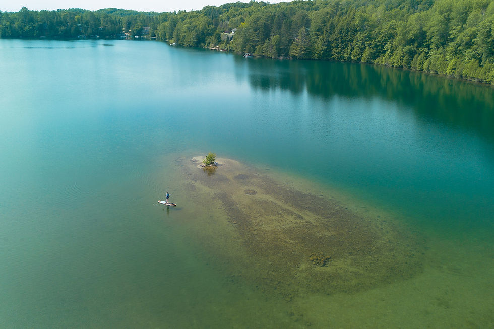 DJI_0440.jpg