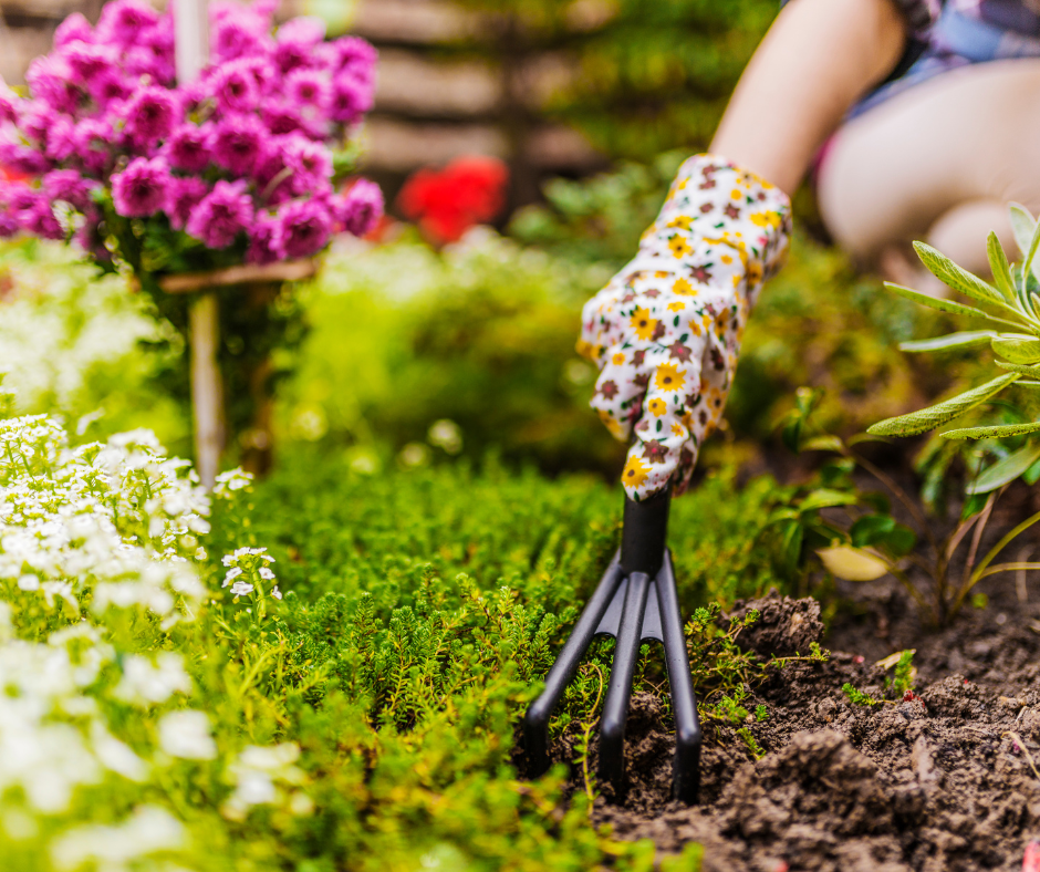 Spring clean garden care
