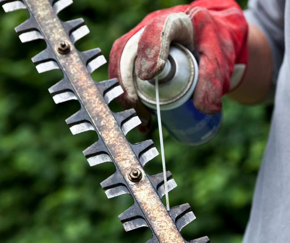 Winter garden care
