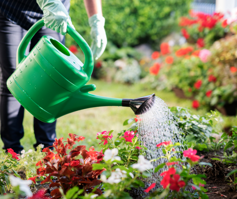 Summer garden care