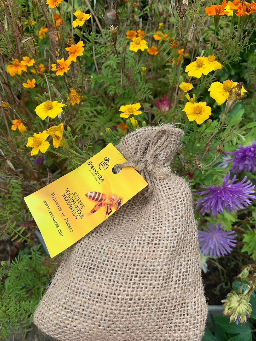 Thumbnail: Wildflower Seedballs