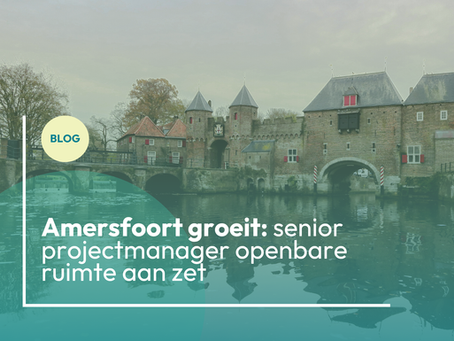 Amersfoort senior projectmanager openbare ruimte