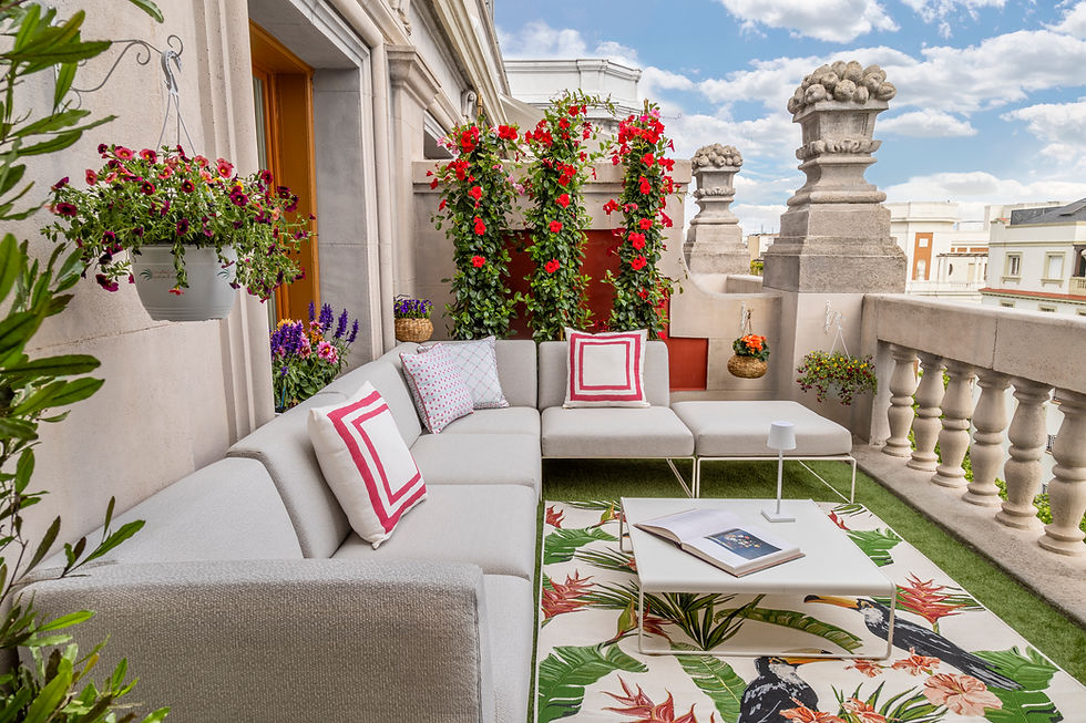 Terraza Abascal Frente libro.jpg