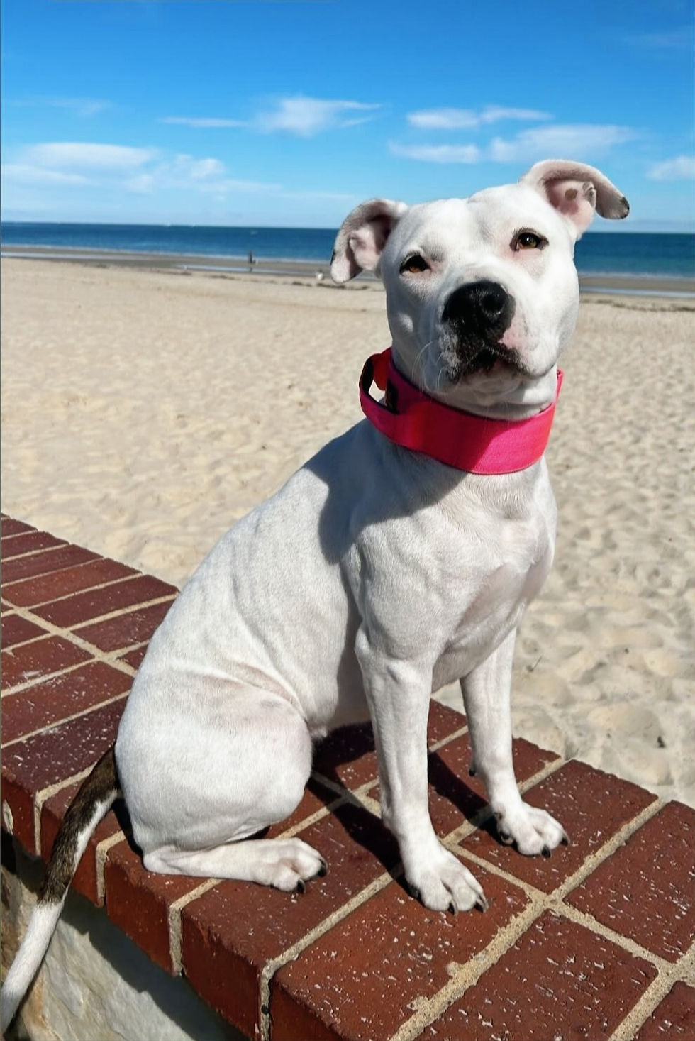 Thumbnail: Bundle Set  -Pink