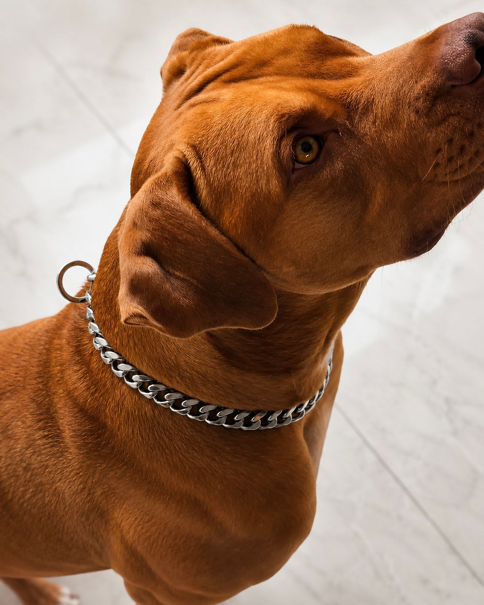 Thumbnail: Check Chain SILVER 19MM
