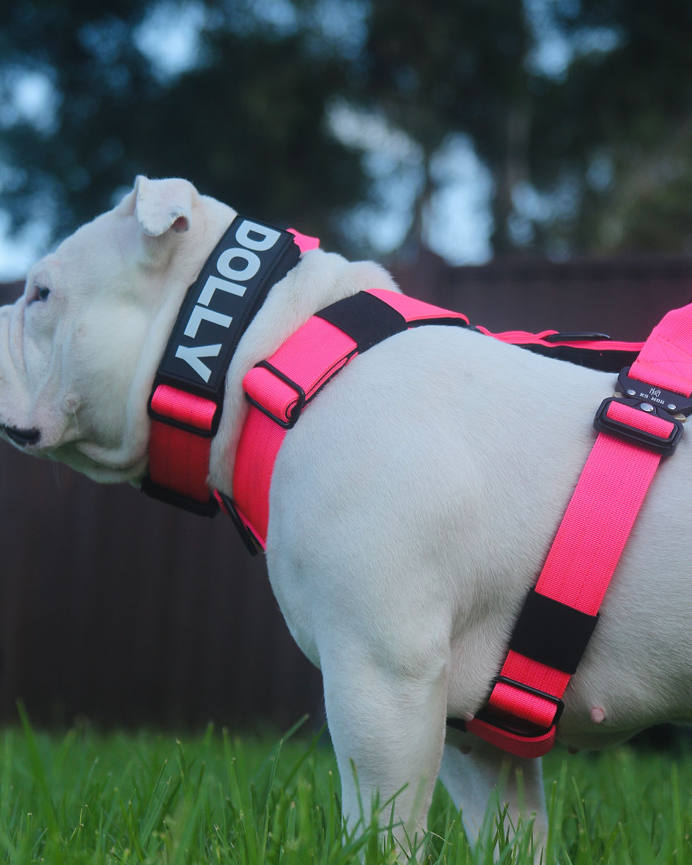 Thumbnail: K9 MOB Harness -Pink