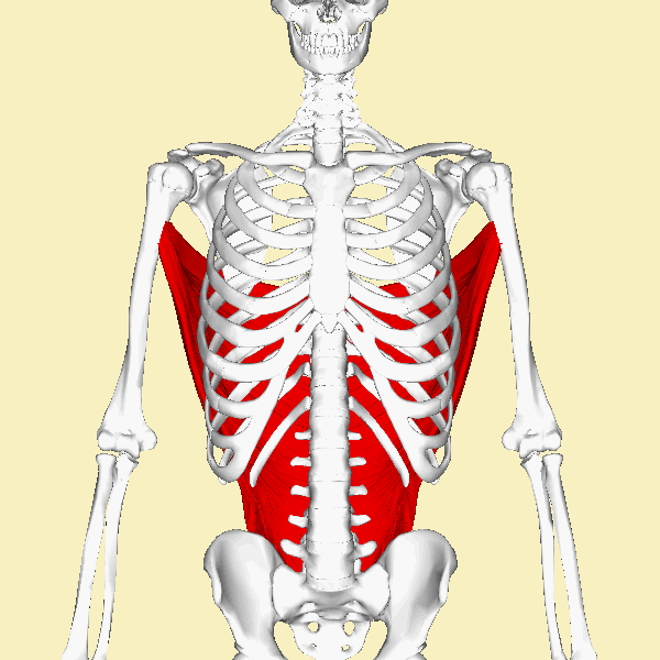 Use your lats to keep the bar on your legs during the deadlift.