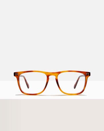 Franklin Amber Front.png