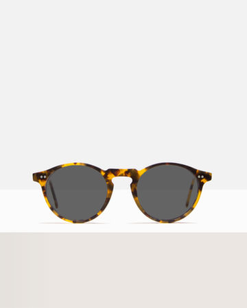 Franklin Amber Front.png