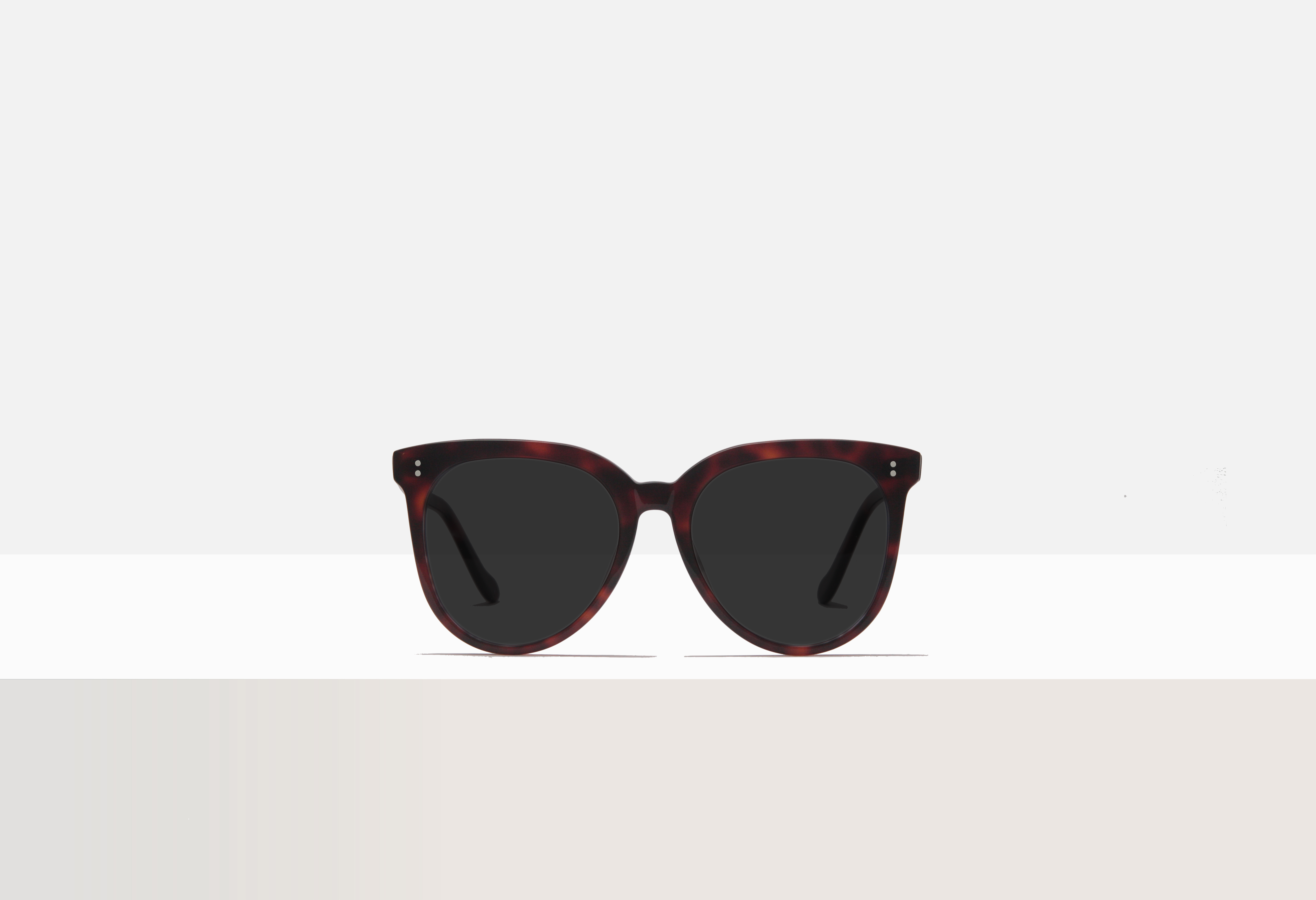 Sunglasses - Van Sant in Tuscan Tortoise