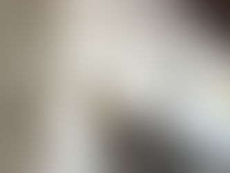 和風戸建ての塗装