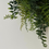 Thumbnail: Fern Wreath