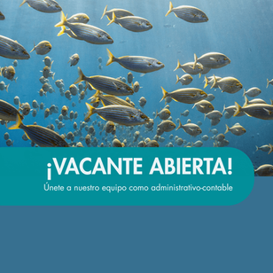Administrativo-contable