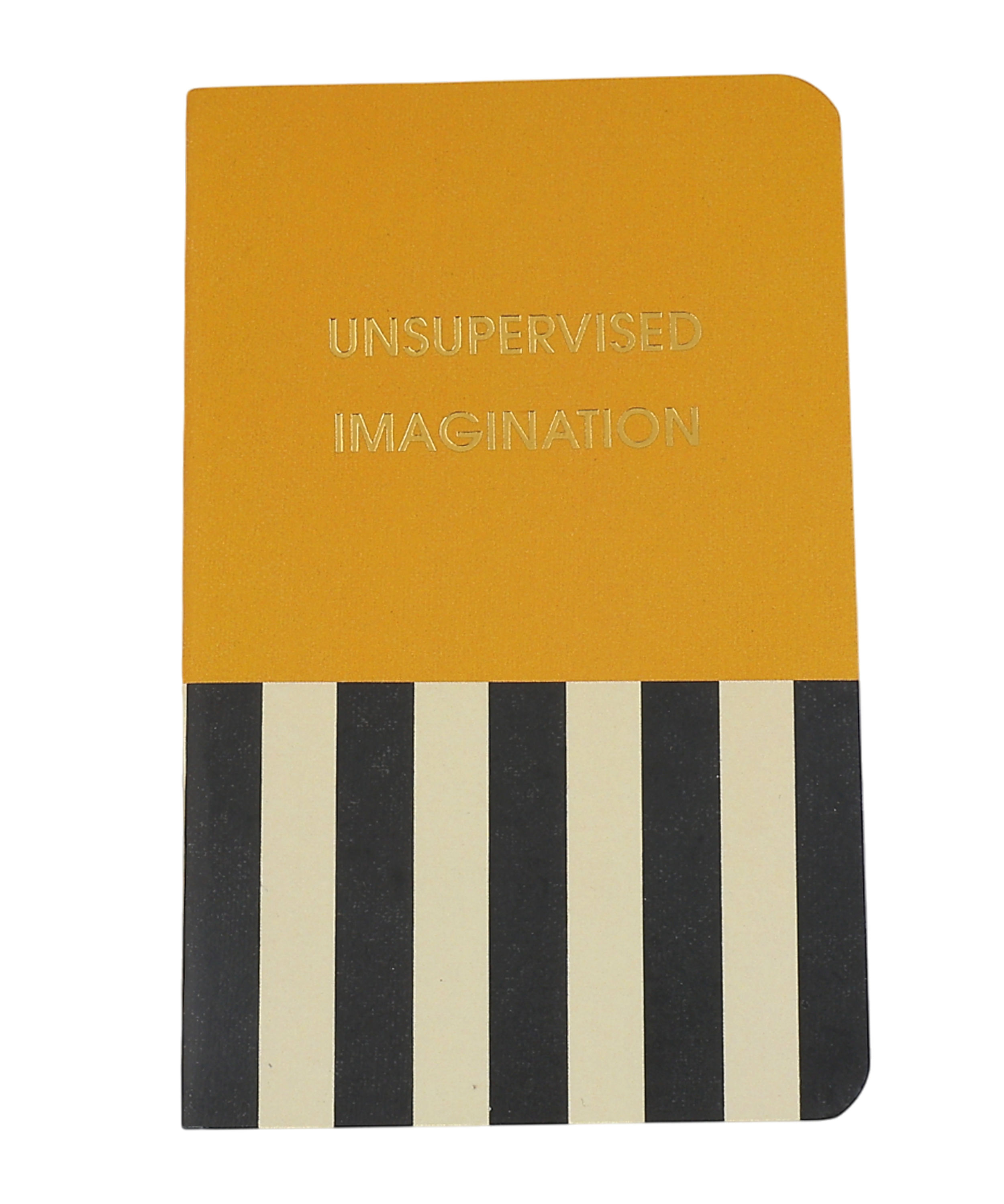 Undersupervised imagination Pocket Notebook (x 5)