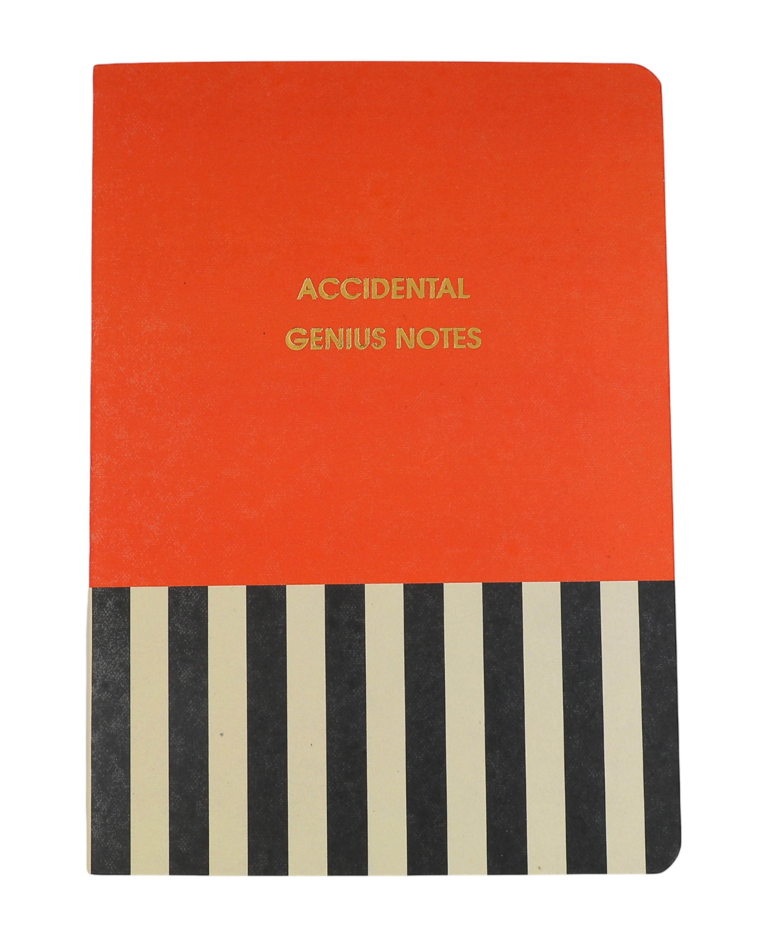 Accidental Genius Ideas Notebook (1 design x 10)